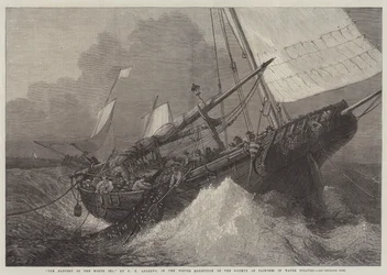 Die Ernte der Nordsee