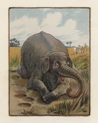 Der Elefant