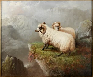 Schafe an einer Klippe, um 1865-68