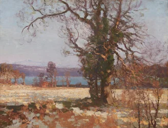 Wintersonne
