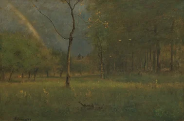 Nach dem Regenschauer