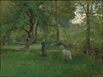 Grüne Landschaft