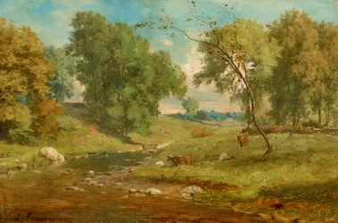 Auf der Wiese