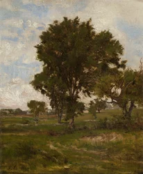 Der Ulmenbaum
