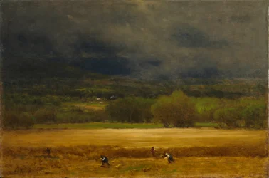 Das Weizenfeld