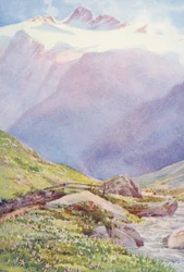 Der Herbst-Krokus auf den Feldern in der Nähe des Dorfes Trient, mit der Aiguille du Tour im Hintergrund, September (Farblithographie)