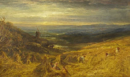 Ein Kornfeld in Surrey, ca. 1877