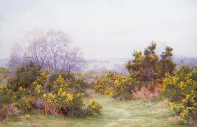 Eine Surrey-Heide