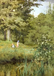 Wilde Blumen pflücken