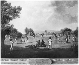 Ein Cricketspiel