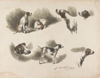 [Tiere] Sieben Studien eines Jagdhundes auf einem Blatt. „Jno. Harris“ auf dem Halsband des Jagdhundes unten links