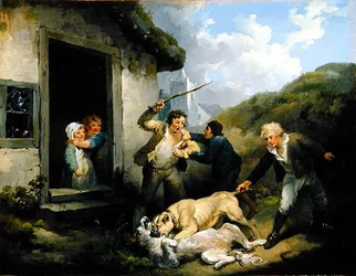 Kämpfende Hunde