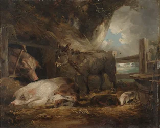 Besuch im Schweinestall