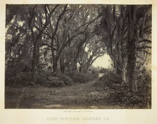 Buen-Ventura Savannah, Ga.
