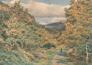 Eine Straße in der Nähe von Bettws-y-Coed