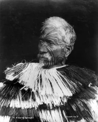 Te Hinote Kawau, ca. 1860-71