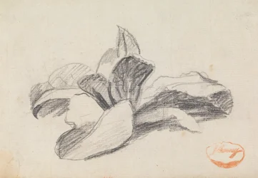 Studie von Blättern 2