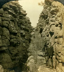 Wonderland Avenue, oder die stille Straße, Grampians, Victoria, Australien, 1908
