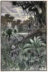 Illustration von George Roux für Jules Vernes Buch „Das Luftdorf“ (1901), Hetzel-Ausgabe/Extraordinary Voyages, Bekannte und Unbekannte Welten. Blick auf einen afrikanischen Wald (Kongo)