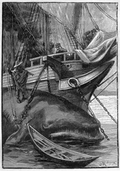 Jules Vernes Roman "Die Geschichten Jean-Marie Cabidoulins" (1901), Hetzel-Sammlung/Extraordiaires, Illustration von George Roux. "An einem Walfangschiff vertäuter Wal"