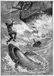 Jules Vernes Roman „Les histoires de Jean-Marie Cabidoulin“ (1901), Hetzel Sammlung/Extraordiaires, Illustration von George Roux. „Maritime Szene: Matrose von Hai im Pazifischen Ozean angegriffen“