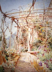 Schwertlilien unter der Pergola