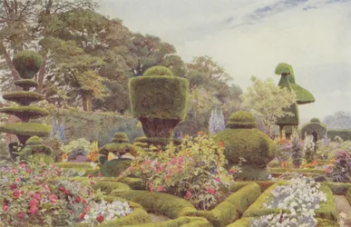 Levens, Rosen und Nelken