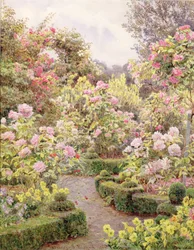 Raundscliffe - Überall sind Rosen