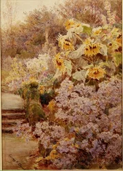 Sonnenblumen in einem Staudenbeet
