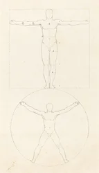 Kreis und Quadrat der menschlichen Figur