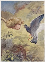 Alice mit langem Hals, erschreckt eine Taube