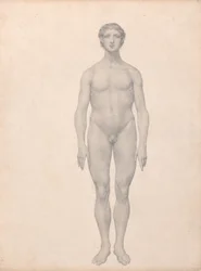 Vergleichende anatomische Darstellung der Struktur des menschlichen Körpers mit der eines Tigers und eines gewöhnlichen Huhns: Menschliche Figur, Vorderansicht, unzerlegt