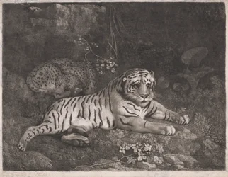 Ein Tiger und ein schlafender Leopard