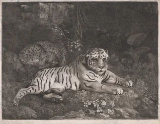 Ein Tiger und ein schlafender Leopard