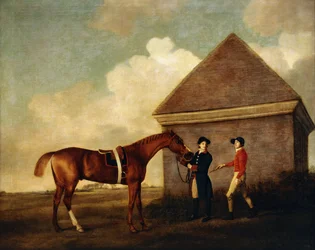 "Eclipse", ein dunkelbraunes Rennpferd, gehalten von einem Stallburschen, mit einem Jockey, möglicherweise Jack Oakley, beim Rubbing Down House in Newmarket, 1770