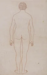 Menschlicher Körper, Rückansicht (Umrisszeichnung für Tafel VII)