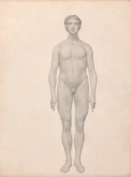 Menschliche Figur, vordere Ansicht, unzerlegt (fertige Studie für Tabelle VI)