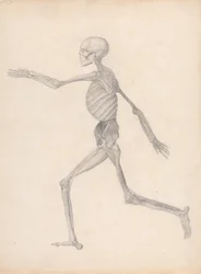 Menschliche Figur, Seitenansicht