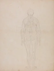 Menschliche Figur, Rückansicht