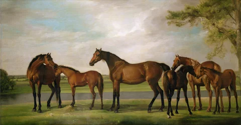 Stuten und Fohlen, die von einem herannahenden Sturm aufgeschreckt werden, 1764-66