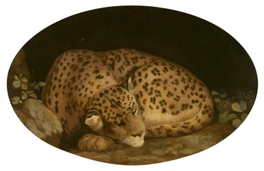 Schlafender Leopard