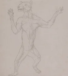 Studie eines Tigers, in menschlicher Haltung stehend, aus A Comparative Anatomical Exposition of the Structure of the Human Body with that of a Tiger and a Common Fowl, 1795-1806