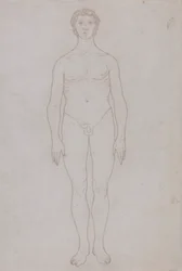 Studie der menschlichen Figur, Vorderansicht (Umrisszeichnung für Tafel VI)