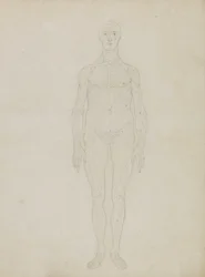 Studie der menschlichen Figur, Vorderansicht, aus 