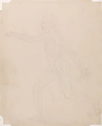 Studie der menschlichen Figur, Seitenansicht, Ein Vergleichendes Anatomisches Exposé der Struktur des menschlichen Körpers mit dem eines Tigers und eines gewöhnlichen Huhns, ca. 1795-1806