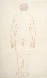 Studie der menschlichen Figur, Rückansicht, aus Ein vergleichendes anatomisches Exposé der Struktur des menschlichen Körpers mit dem eines Tigers und eines gewöhnlichen Huhns