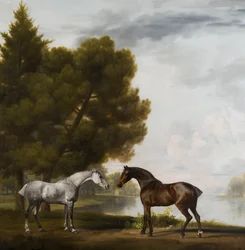 Zwei Pferde in einer Landschaft
