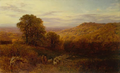 Sonnenlicht, das auf den Herbstwäldern verweilt