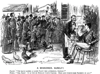 Sicherlich eine Fehlbezeichnung!, 1880.