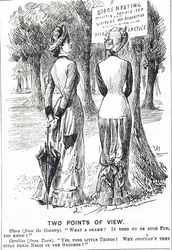 Karikatur, die das Schutzgesetz für Vögel von 1880 kommentiert